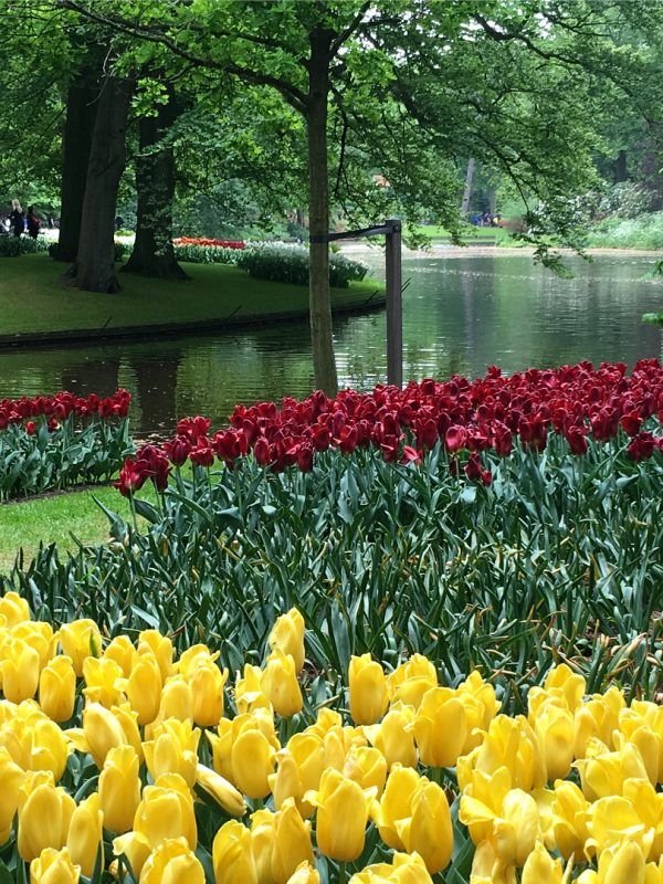 El día que fui a pasear a un cuadro