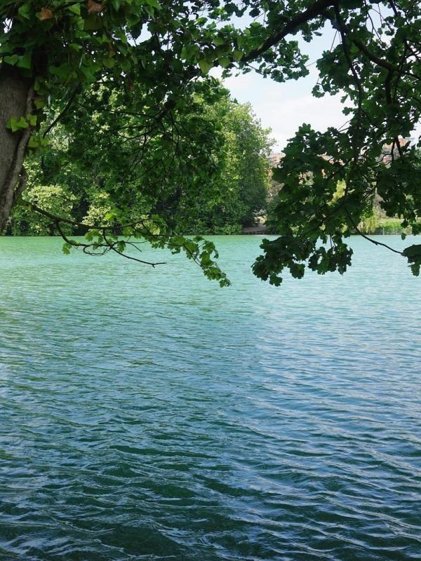 Un piano en Parc de la Tête d’or