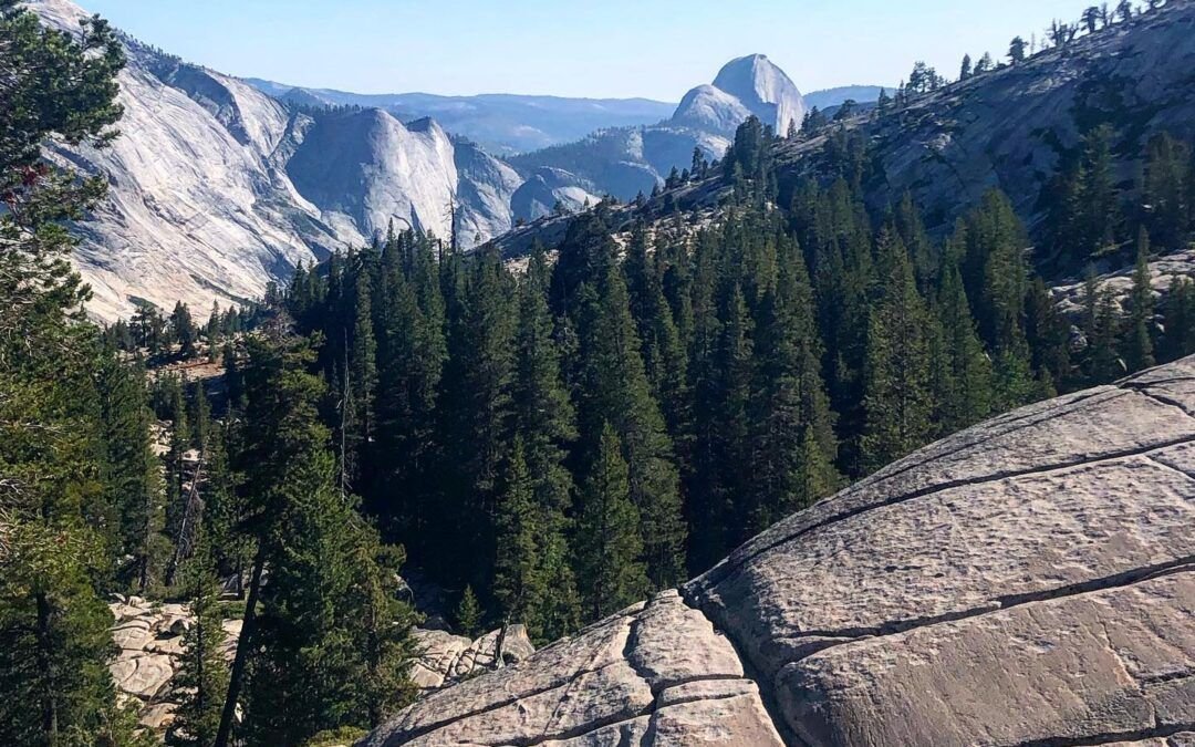 Tiempo de seguir hacia el