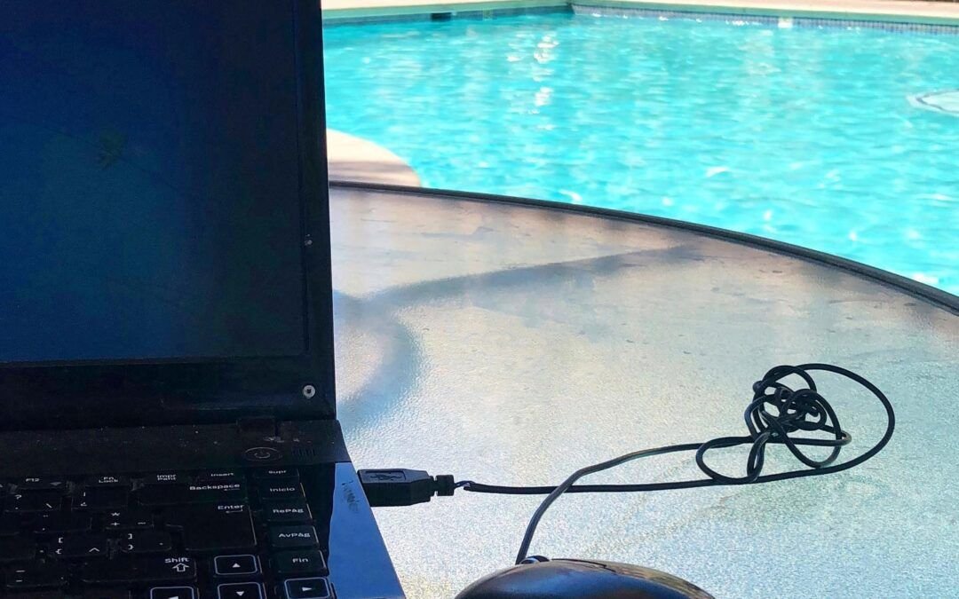 Jueves 15 de agosto.