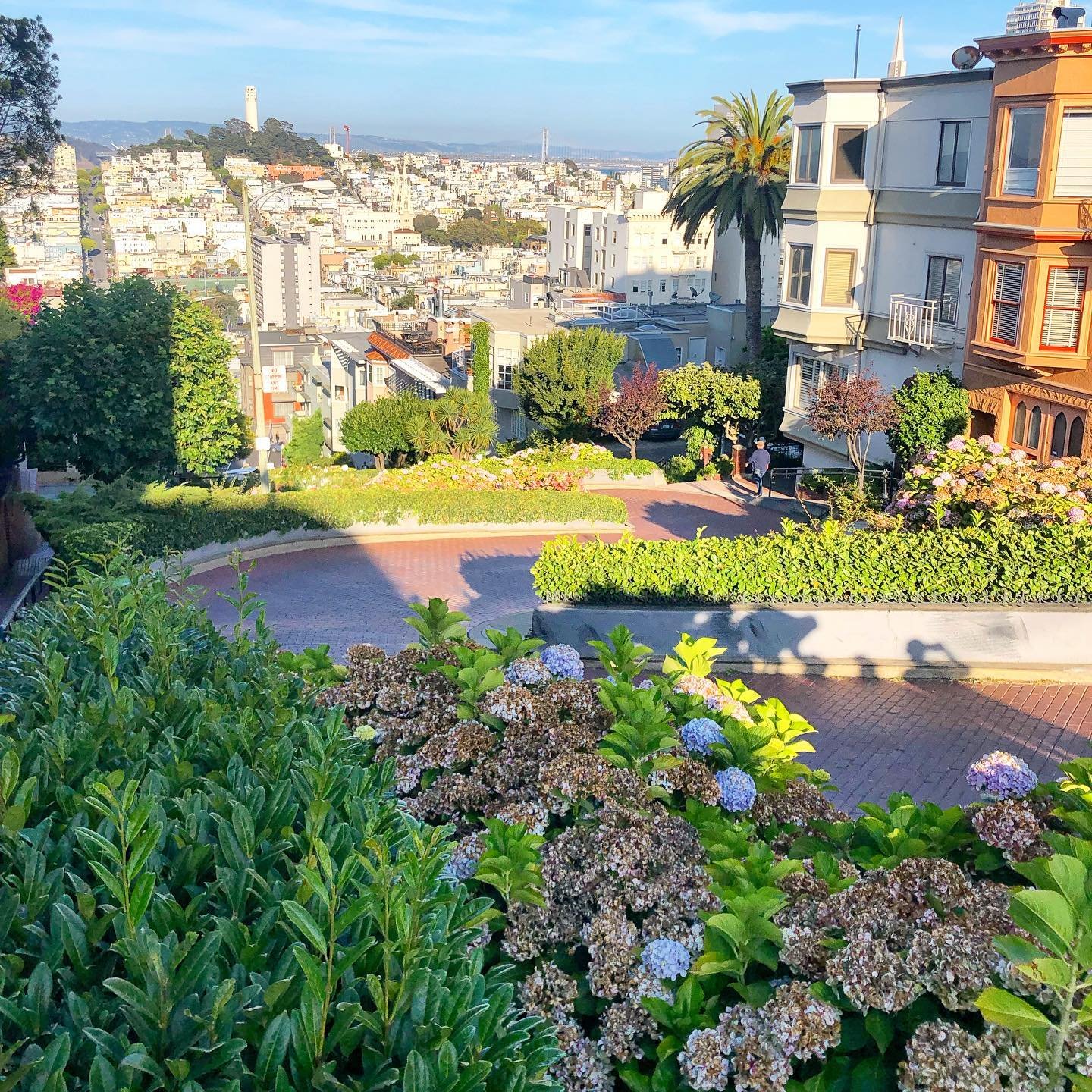 Robar lo que se dice