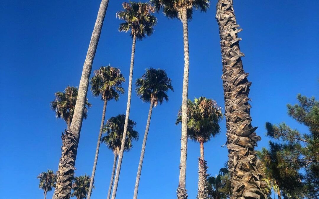 El calor que teníamos disparó