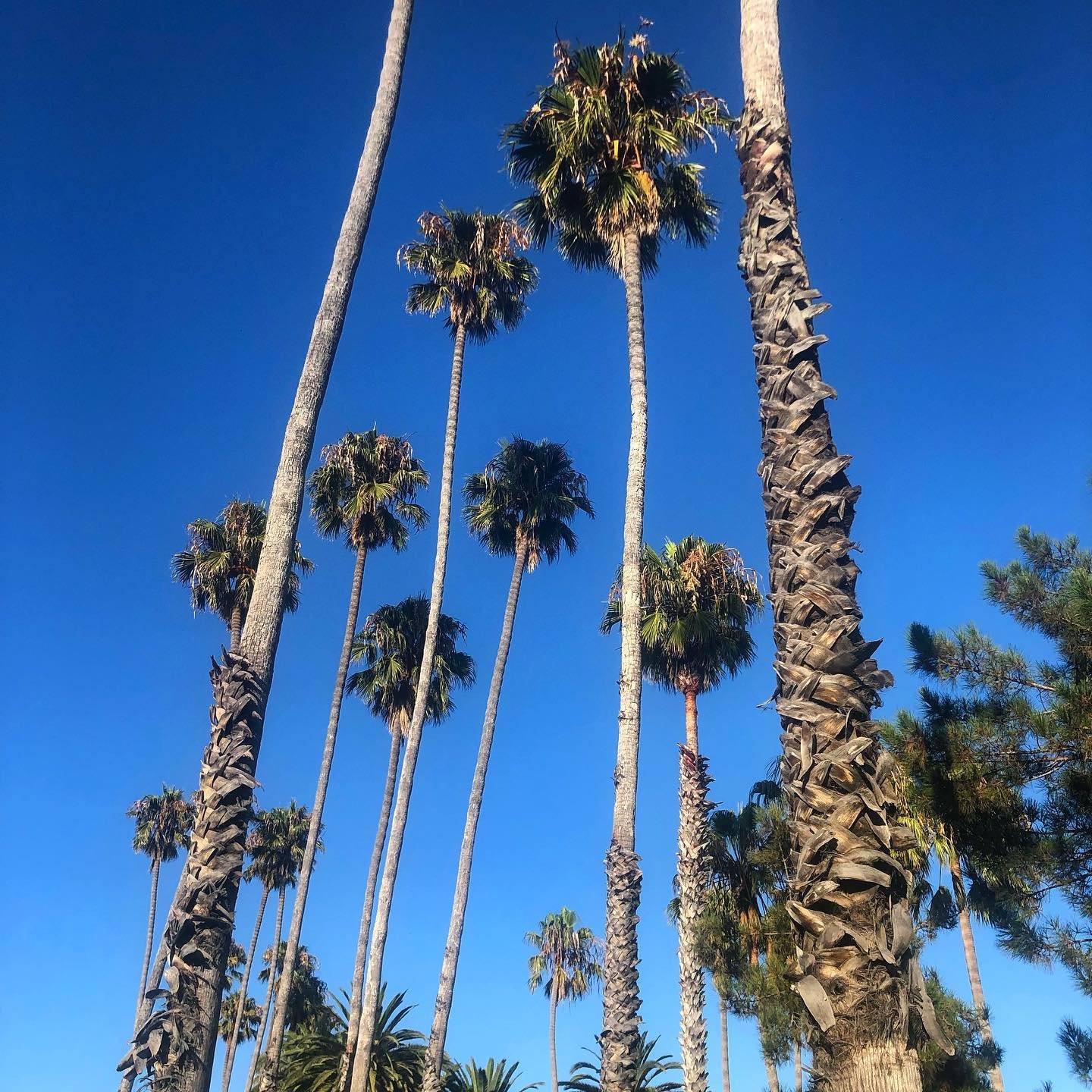 2020-07-17_16-09-45_UTC