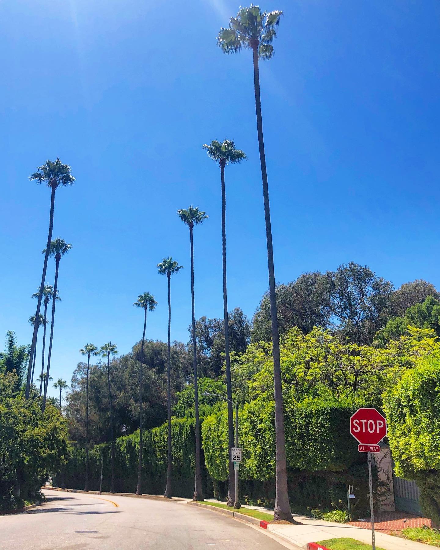 La idea era hacer un