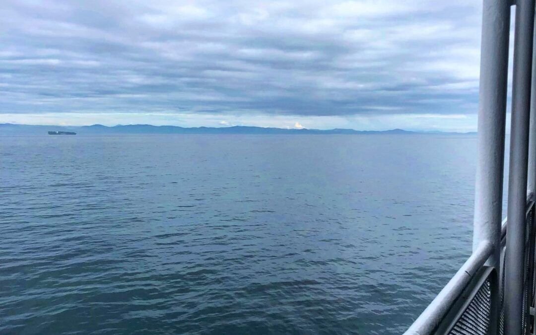 Les mentí(?), en realidad no