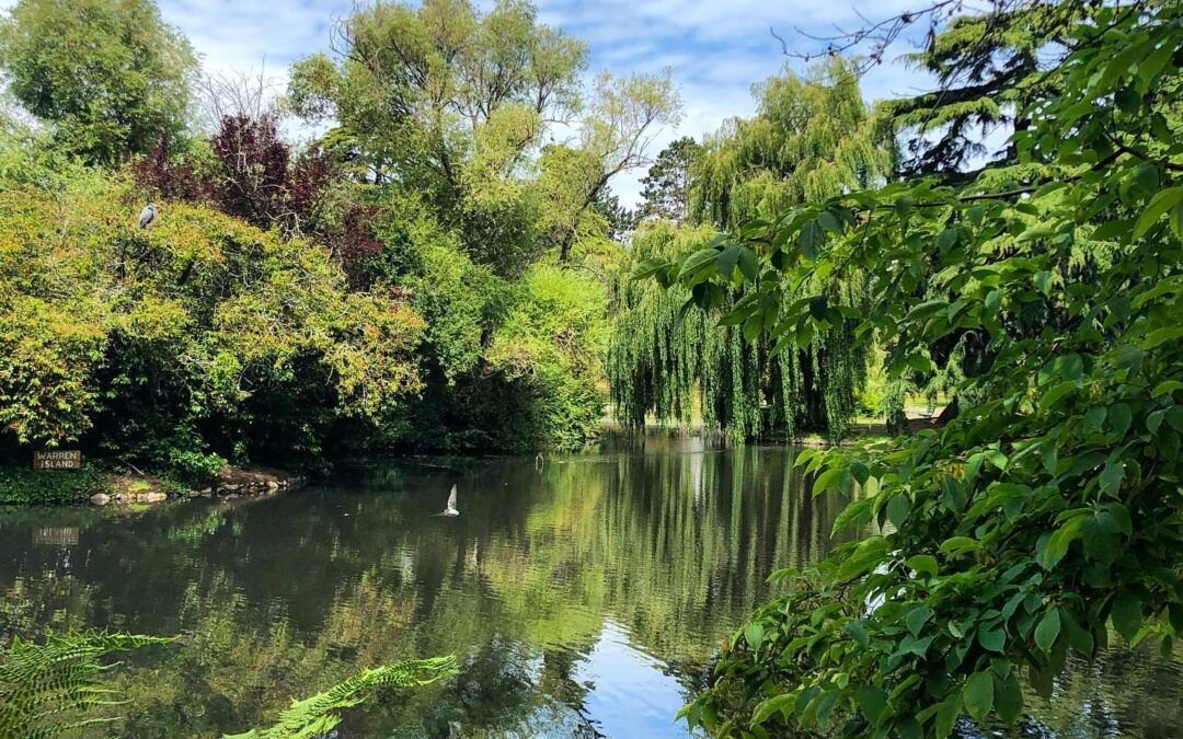 Llegué a Victoria Island, Canadá.