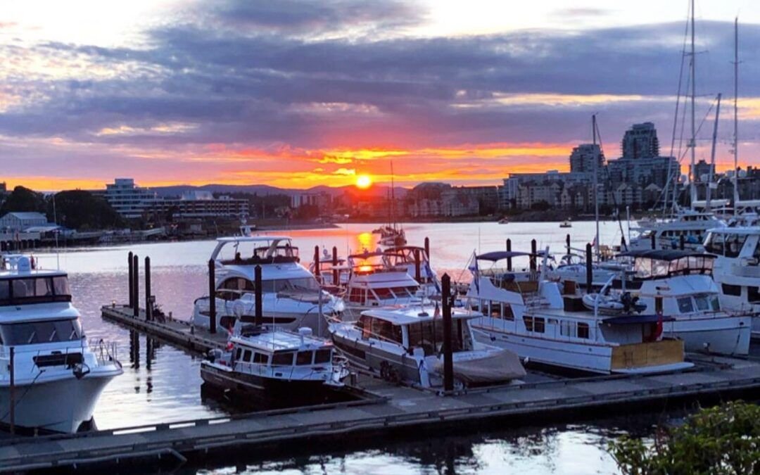 Me desperté de la siesta