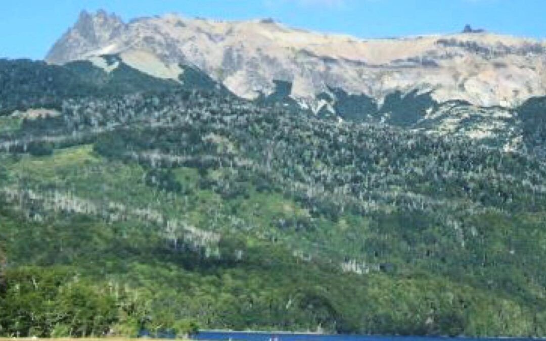 “Flor, ¿nos vamos al sur