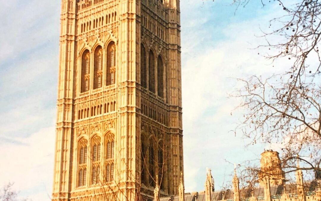 Empecé a pensar. Tenía los