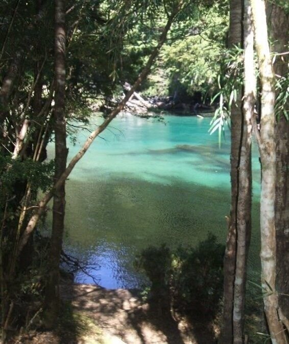 En ese viaje solté de