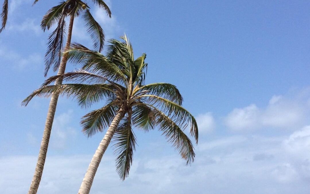 Esta foto es de Panamá, pero esta historia no es de ahí.