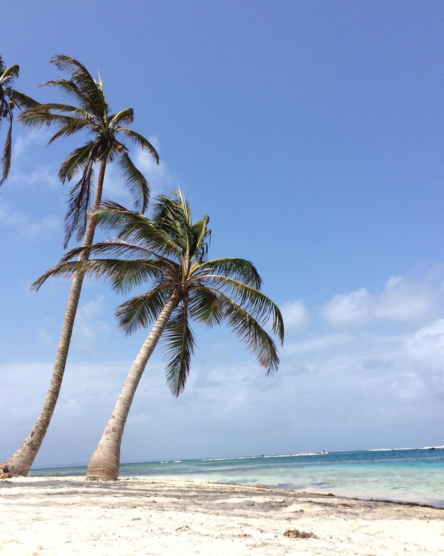 Esta foto es de Panamá, pero esta historia no es de ahí.