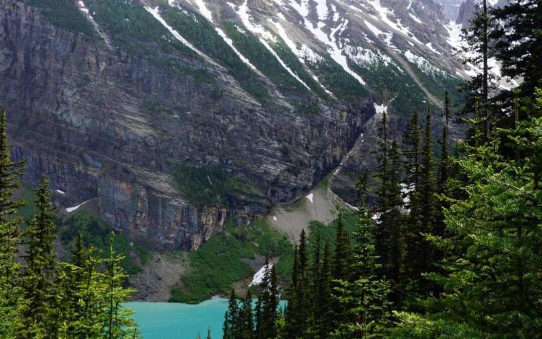 La vida da revancha, o