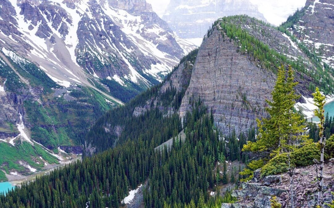 Dicen que no hay mal