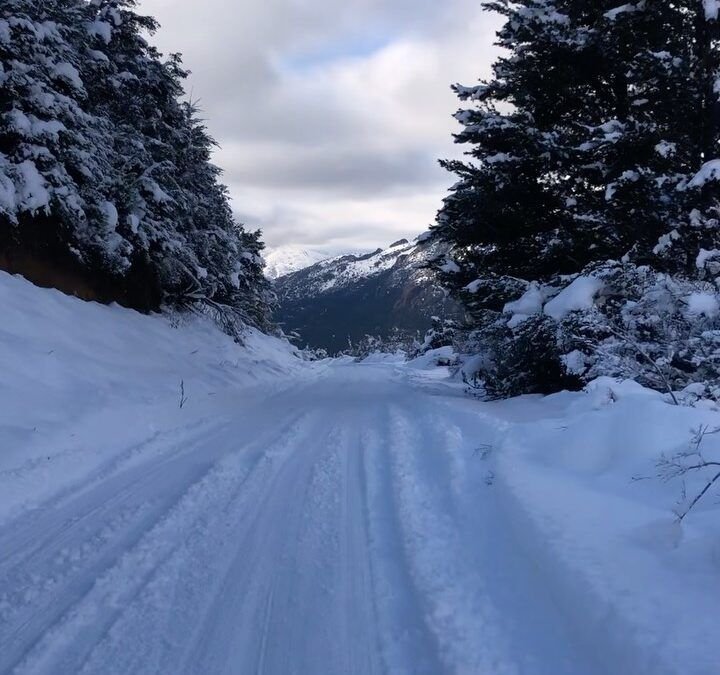 “¿Qué vas a querer hacer,