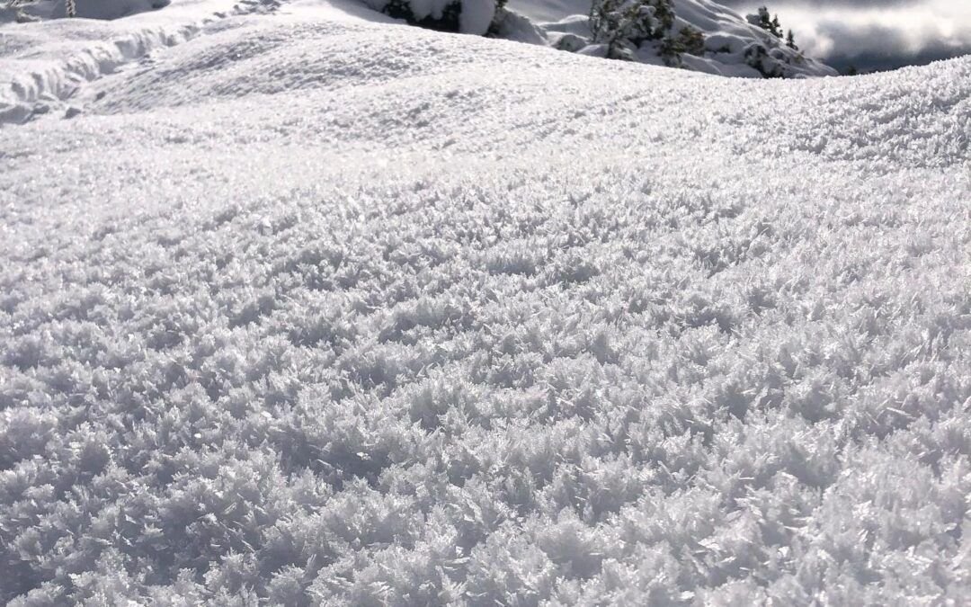 Estoy a pasitos nomás de