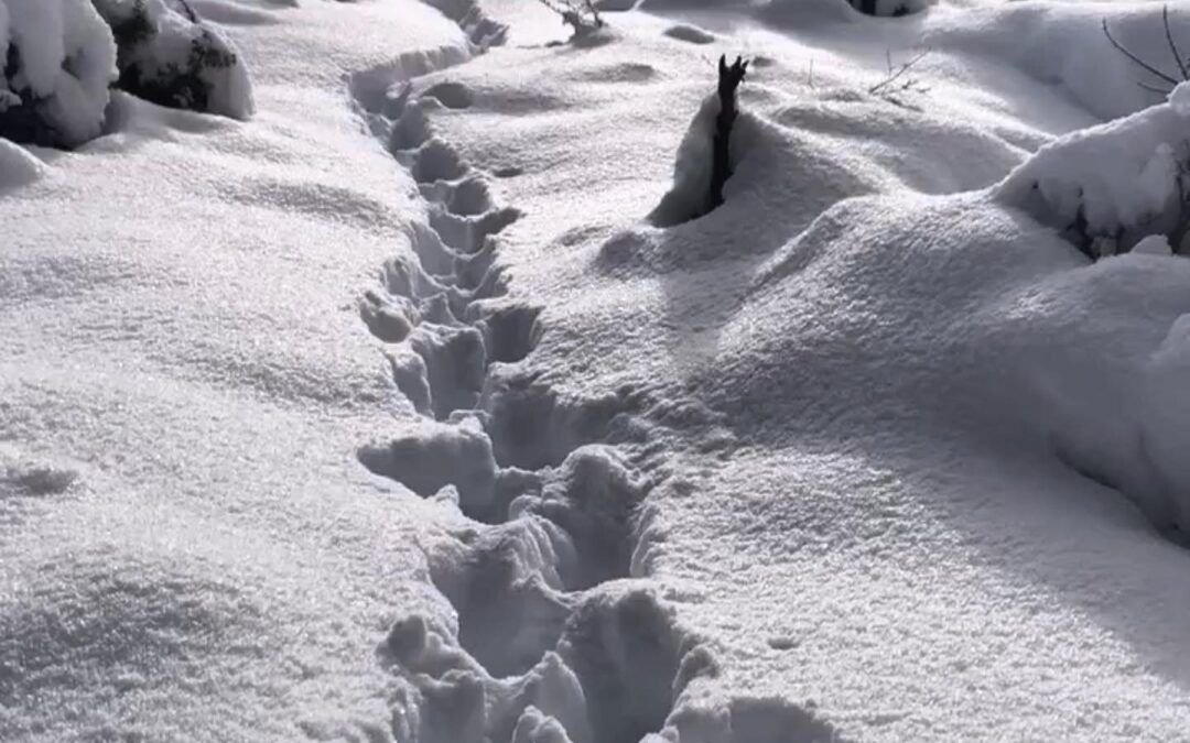 “Sos una mochila de piedras”, me dijo.
