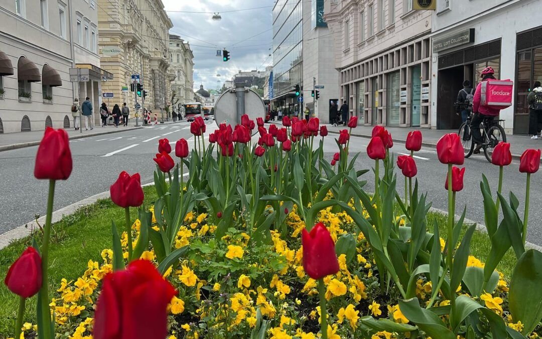 Sería una falacia decir que viajo sola