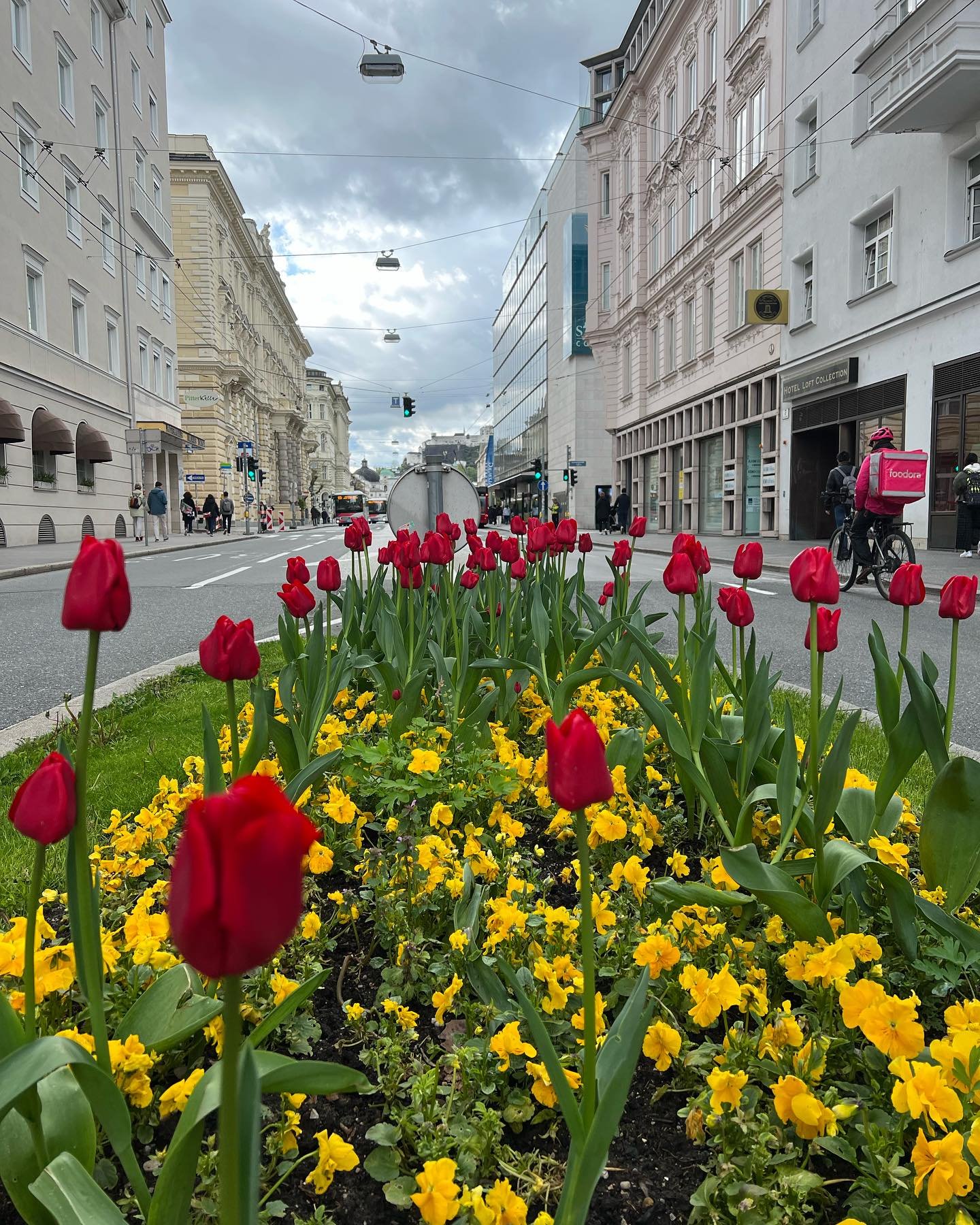 Sería una falacia decir que viajo sola