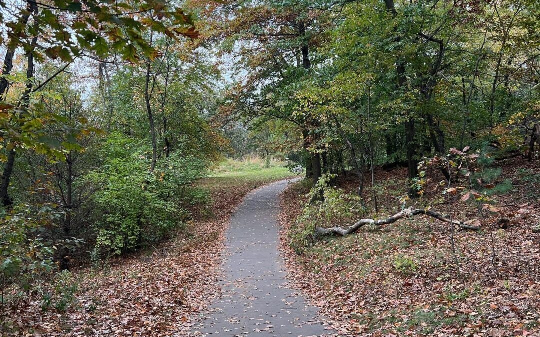 Ya no siento lo mismo que alguna vez sentí por NYC