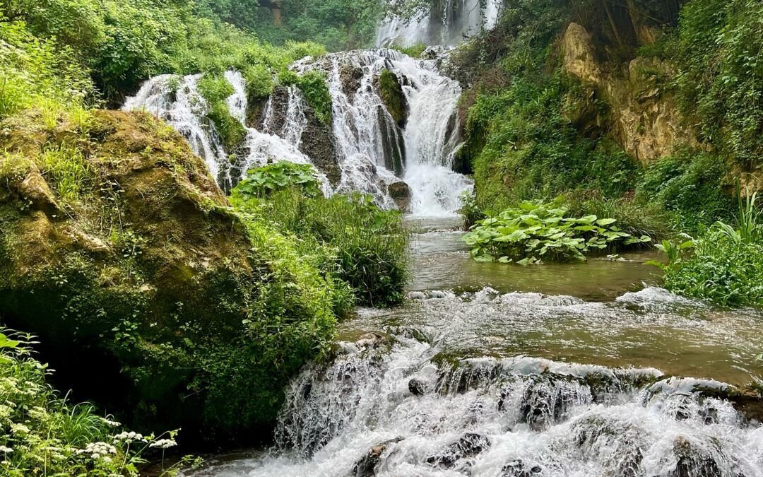 “You think you can’t, but you can“