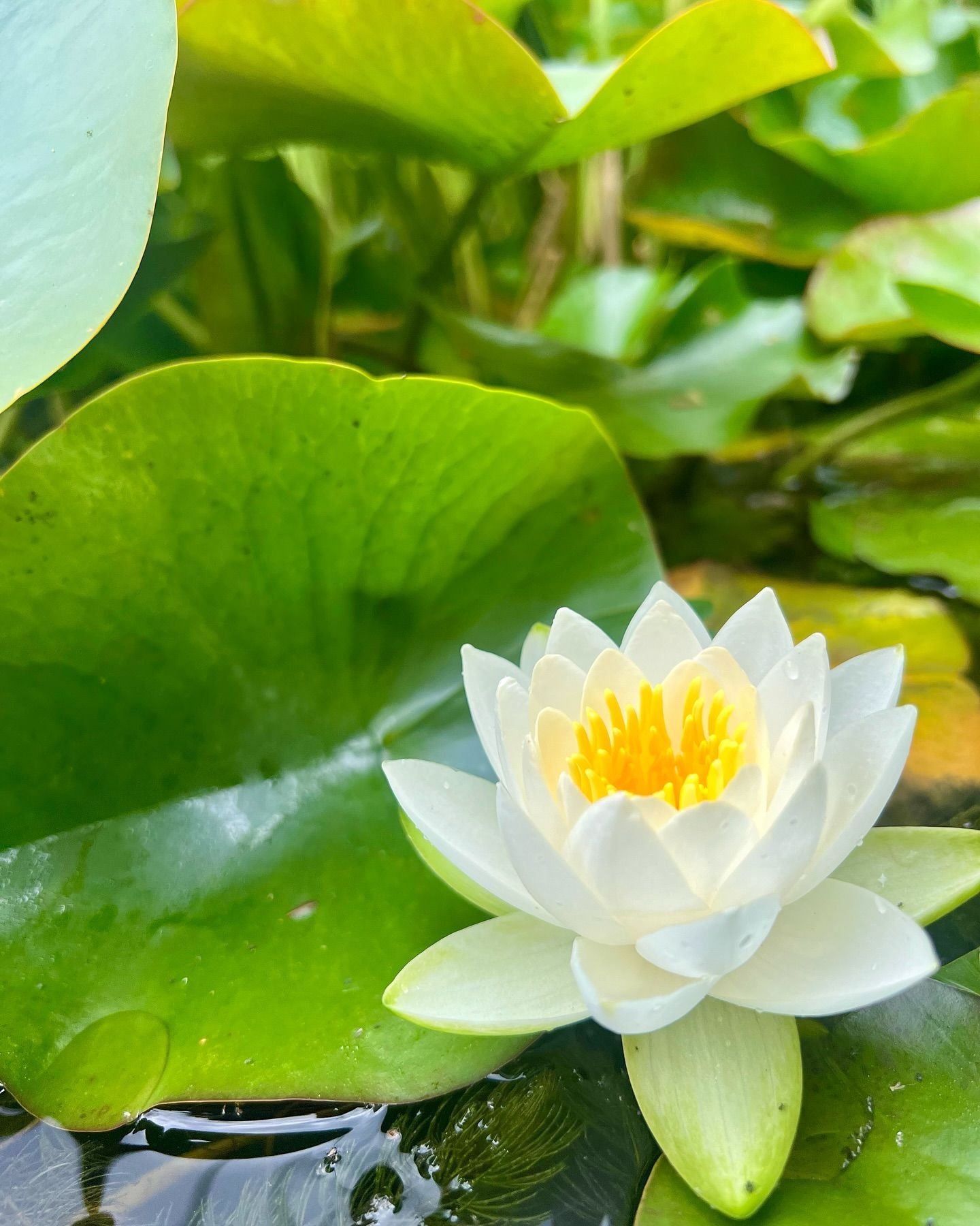 ❤️‍  NO NECESITO