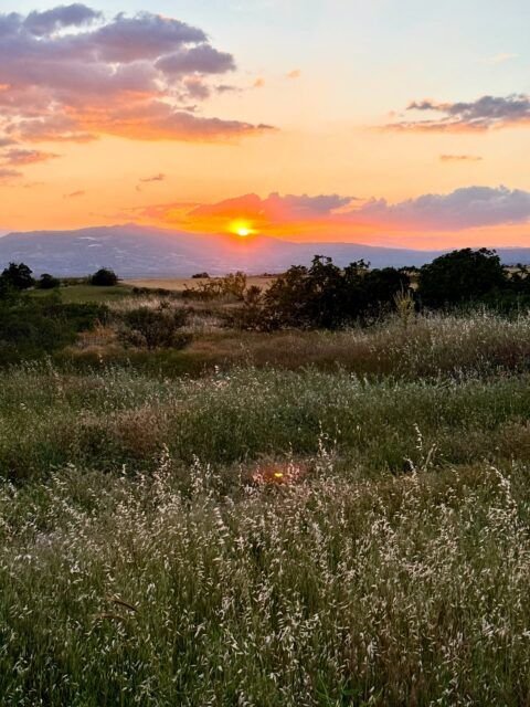 VIAJAR PARA ESCAPARSE (de uno)