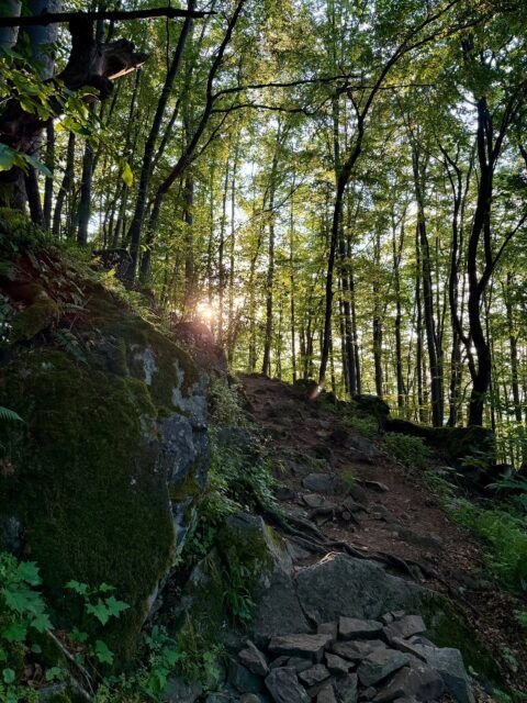 PARAÍSO. Si existe, ¿cómo se ve?